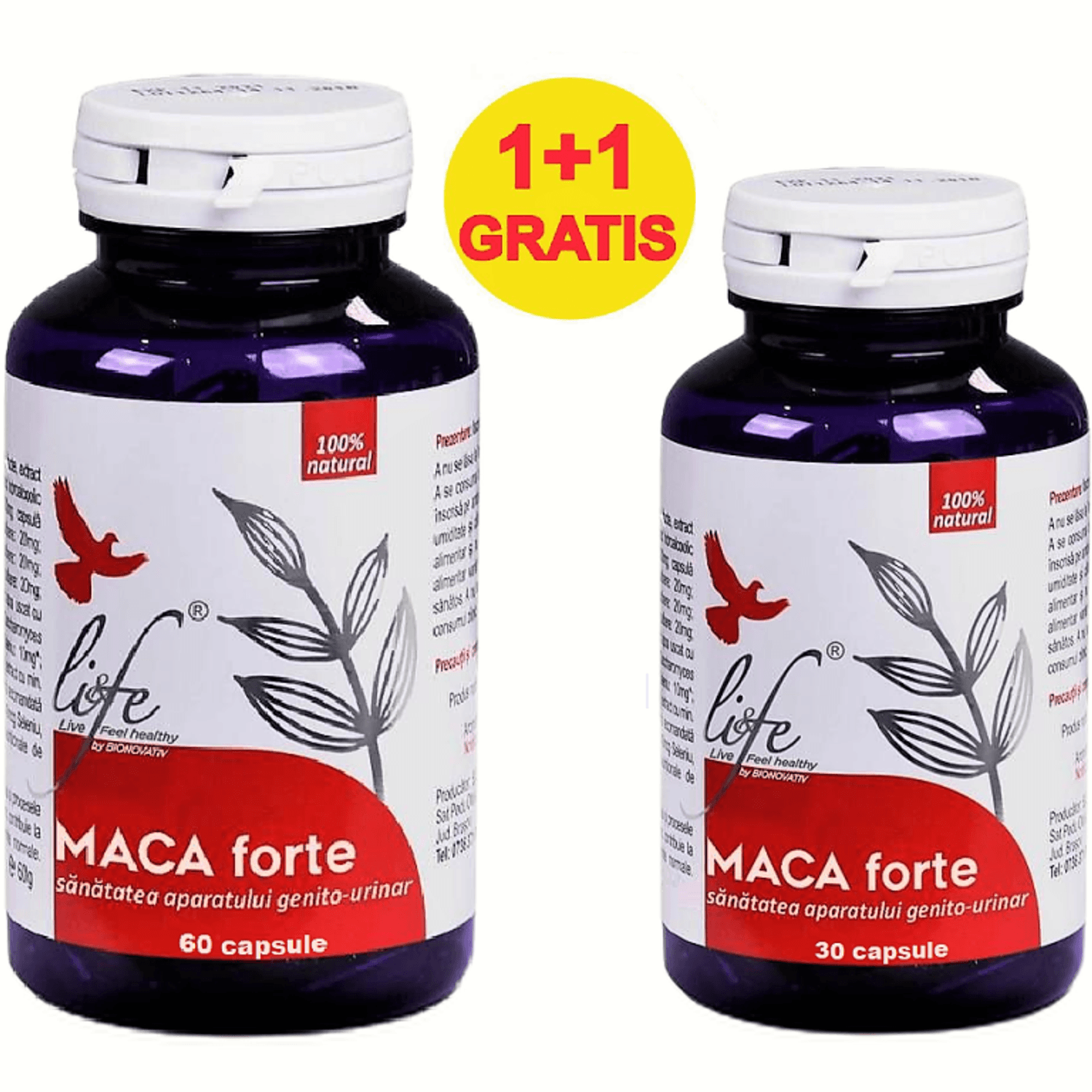 Pachet Maca forte 60+30cps - LIFE fotografia produsului