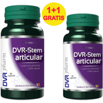 Pachet Stem Articular 60+30cps - DVR PHARM fotografia produsului