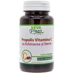 Propolis vitamina C echinaceea stevie masticabile 40cp - SEVA PLANT fotografia produsului