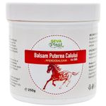 Balsam puterea calului chilli 250ml - SEVA PLANT fotografia produsului