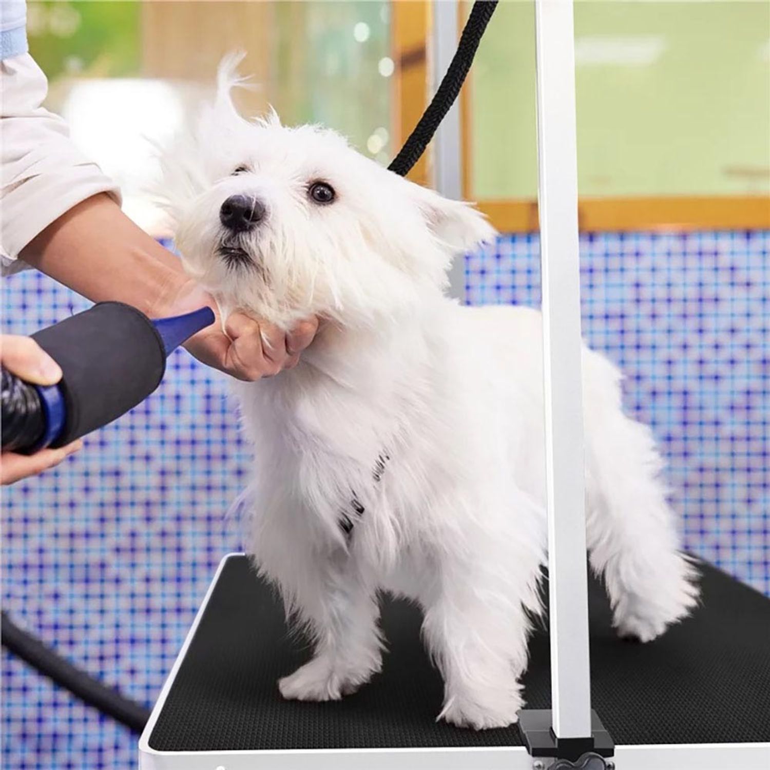 Masa toaletaj pentru animale de companie cu doua brate de fixare fotografia produsului View 2 L