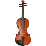 Set vioara acustica in carcasa fotografia produsului
