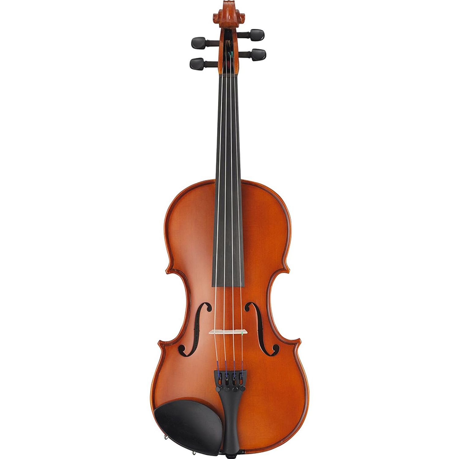 Set vioara acustica in carcasa fotografia produsului