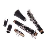 Clarinet B cu accesorii in geanta de umar fotografia produsului View 3 S