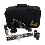 Clarinet B cu accesorii in geanta de umar fotografia produsului