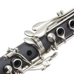 Clarinet B cu accesorii in geanta de umar fotografia produsului View 7 S