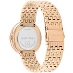 Ceas Dama, Calvin Klein, Twisted Bezel 25200322 fotografia produsului View 4 S