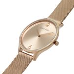 Ceas Dama, Calvin Klein, Timeless 2h 25200002 fotografia produsului View 3 S