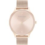 Ceas Dama, Calvin Klein, Timeless 2h 25200002 fotografia produsului