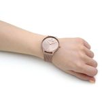 Ceas Dama, Calvin Klein, Timeless 2h 25200002 fotografia produsului View 2 S
