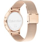 Ceas Dama, Calvin Klein, Timeless 2h 25200002 fotografia produsului View 6 S