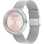 Ceas Dama, Calvin Klein, Twisted Bezel 25200149 fotografia produsului View 5 S