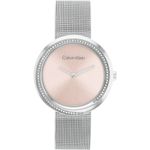 Ceas Dama, Calvin Klein, Twisted Bezel 25200149 fotografia produsului