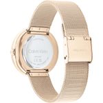 Ceas Dama, Calvin Klein, Twisted Bezel 25200151 fotografia produsului View 5 S