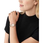 Ceas Dama, Michael Kors, Darci MK4592 fotografia produsului View 2 S